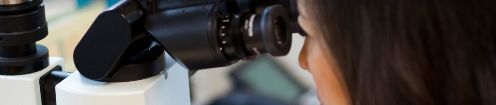 Diagnostic Reporting heartland pathology