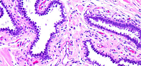 Electronic Medical Records heartland pathology