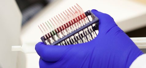 Electronic Medical Records heartland pathology